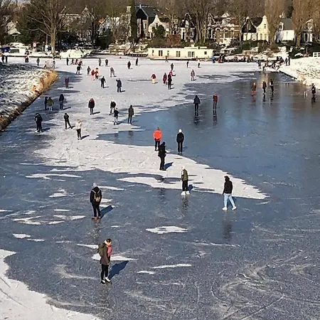 Park View Apartman *